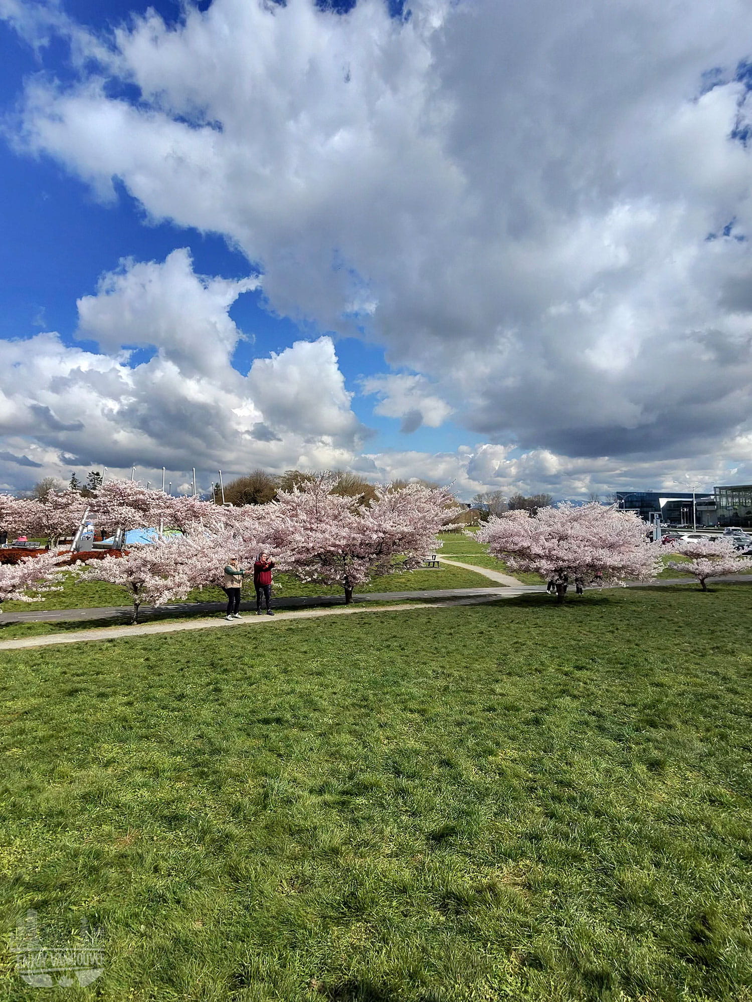 view of Vancouver skyline and mountains from Queen Elizabeth Park