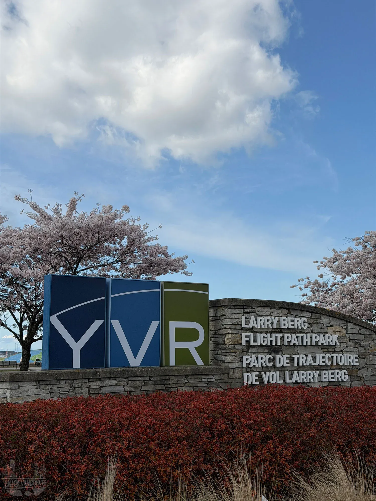 YVR sign at Larry Berg Flight Path Park with cherry blossoms and blue sky in Richmond Vancouver