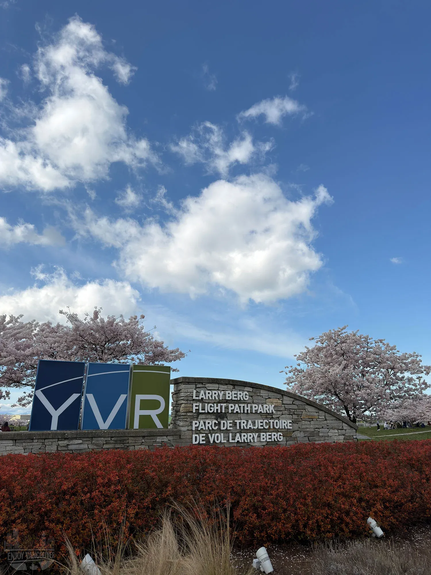 Larry Berg Flight Path Park YVR sign surrounded by cherry blossom trees in Richmond BC