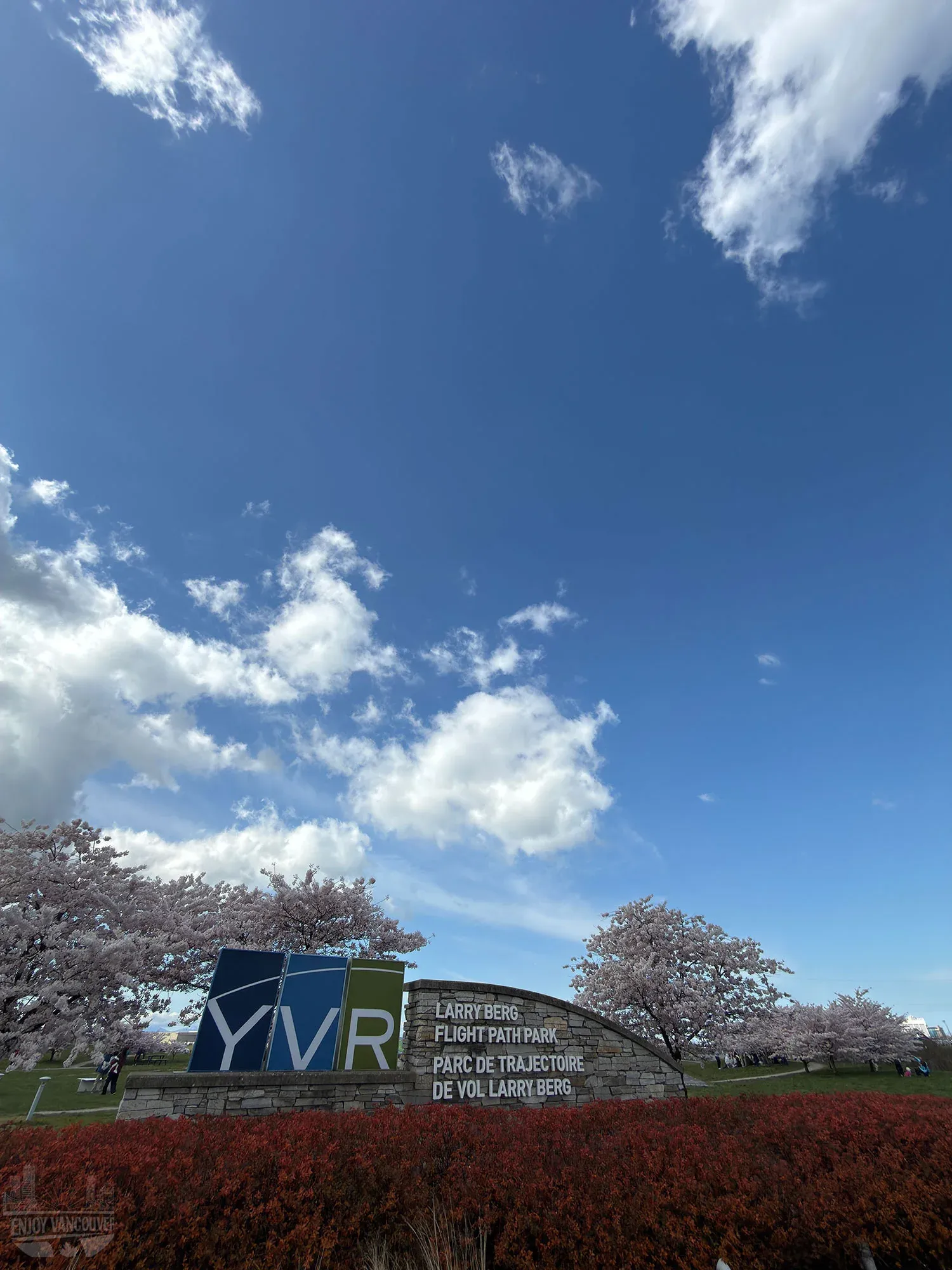 Wide view of YVR sign and cherry blossoms under blue sky at Larry Berg Flight Path Park Vancouver