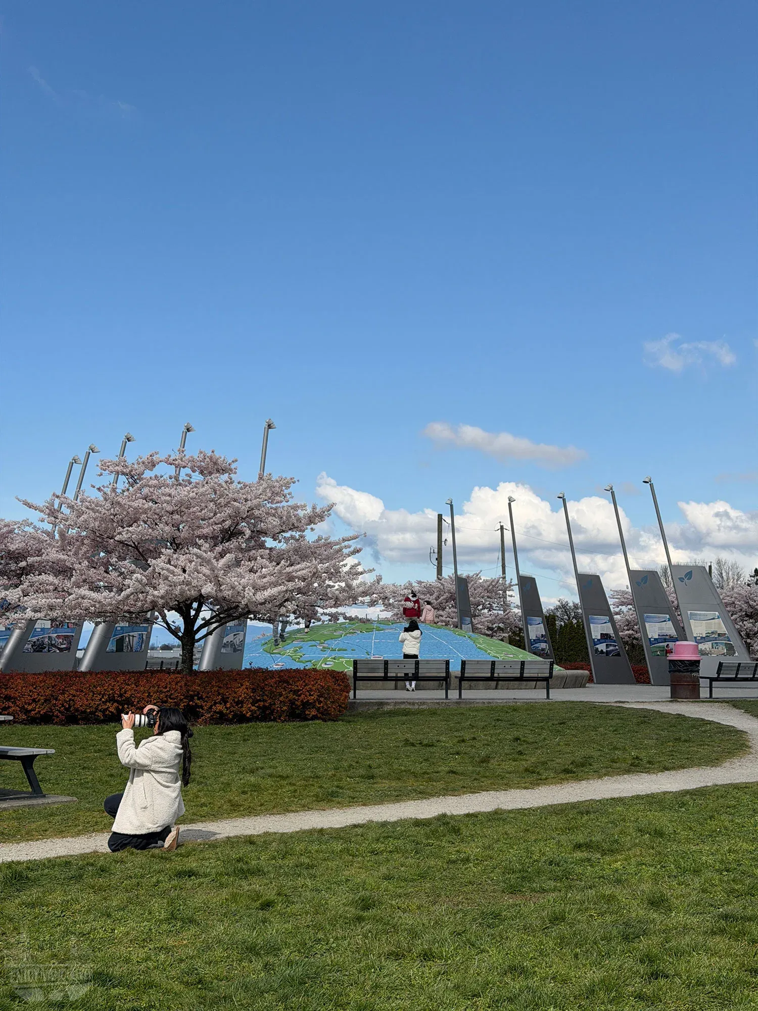 Visitor taking photos near cherry blossom trees at Larry Berg Flight Path Park Vancouver