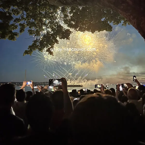 Colourful fireworks over English Bay in Vancouver