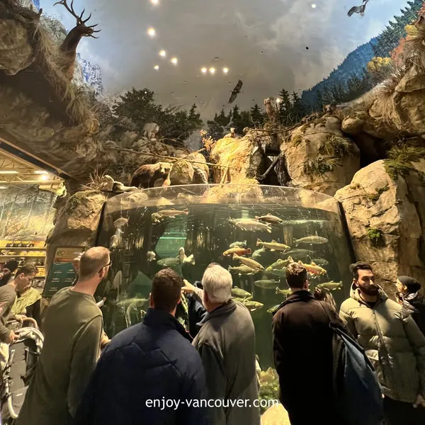 Aquarium display inside Bass Pro Shops at Tsawwassen Mills