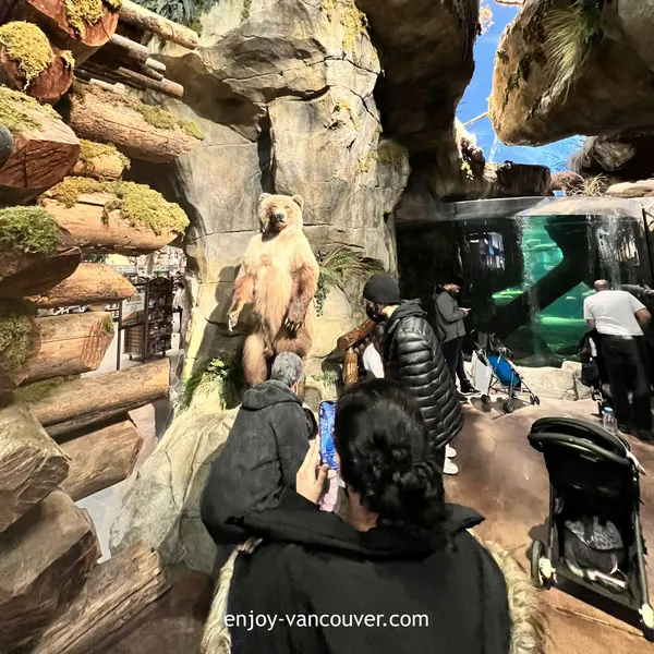 Wildlife display inside Bass Pro Shops at Tsawwassen Mills