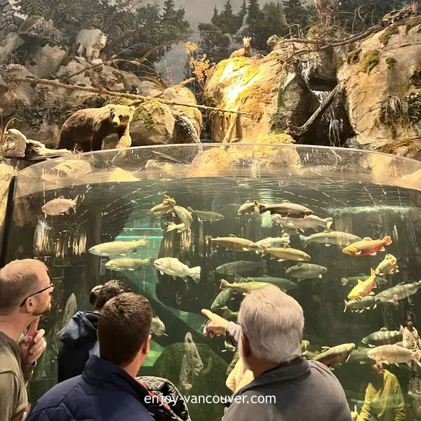 Interior attractions at Tsawwassen Mills in Tsawwassen