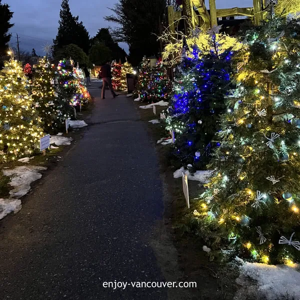 christmas at dundrave park