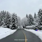 Snow-covered residential street in West Vancouver during winter