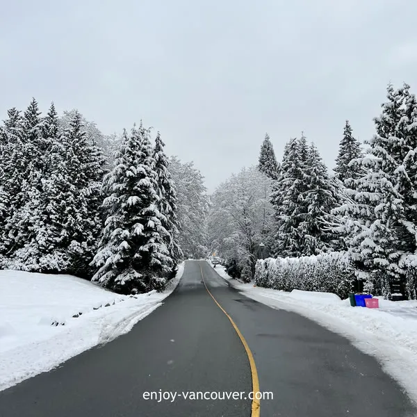 Snow-covered street and trees in West Vancouver during winter
