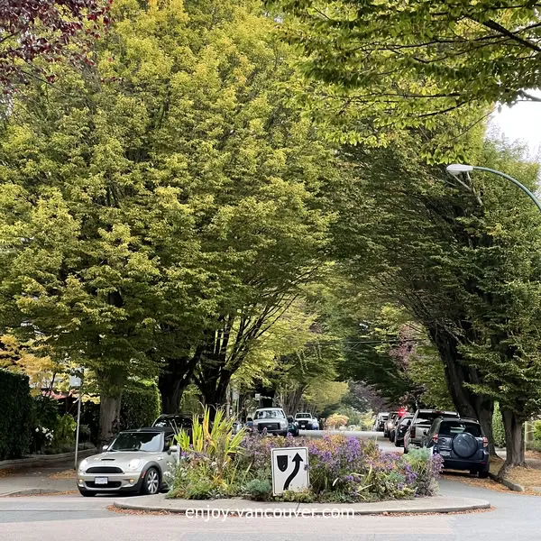 Local street and storefronts in Vancouver British Columbia
