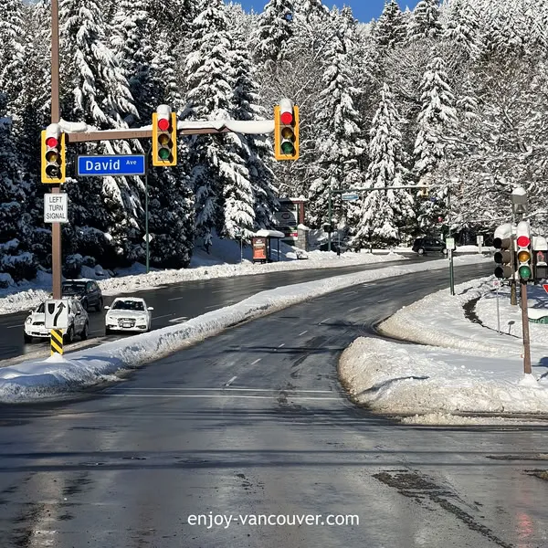Snow-covered street and trees in West Vancouver during winter