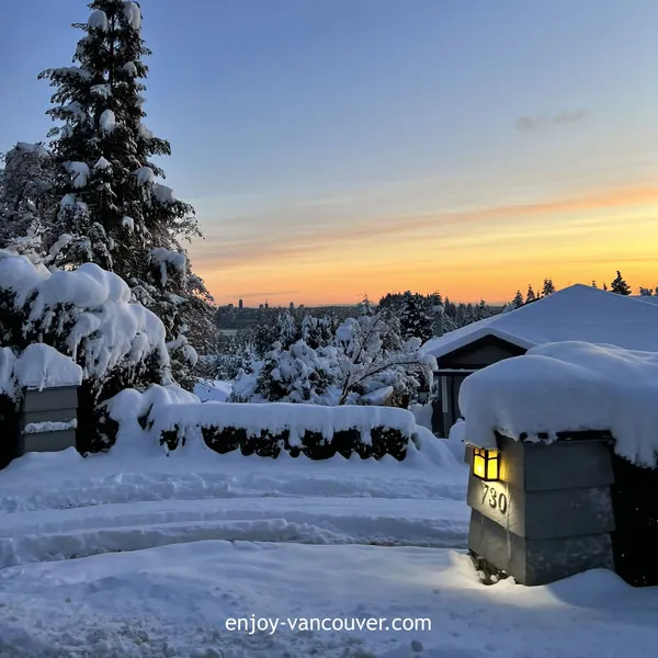 Winter landscape photography in West Vancouver with snow-covered trees
