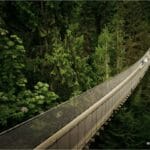 Canyon Frights Halloween lights at Capilano Suspension Bridge Park