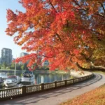 Autumn city scenery with colourful trees and pedestrians