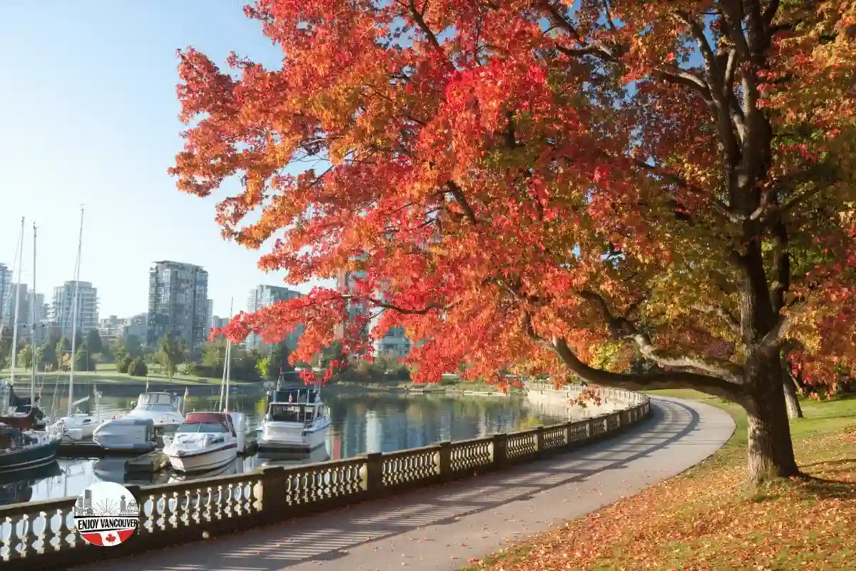 Autumn city scenery with colourful trees and pedestrians