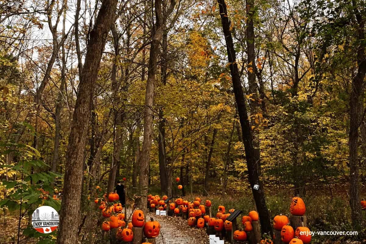 Halloween decorations along the forest trails at Canyon Frights